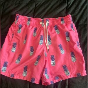 Men’s Hollister Swim Trunks